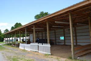 Kathy Peck Traverse Memorial Show Ring