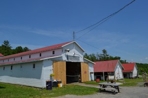 Racehorse barns